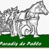 Logo of the association paradis de pablo